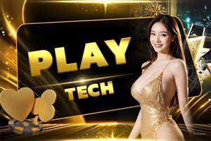 PLAY TECH