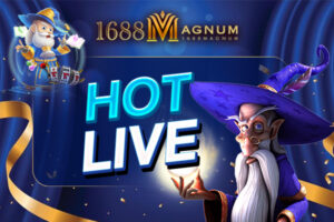 HOTLIVE